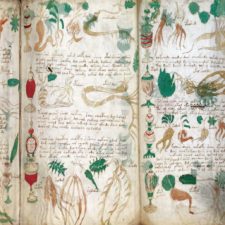 Voynichův rukopis 3x očima vědy. Co už bezpečně víme?