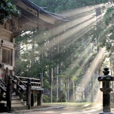 Kdo v Japonsku postavil tajemné megalitické stavby