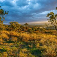 Nebeská mana – co o ní víme?