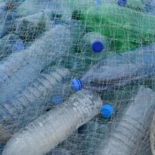 Bioplasty: zázračné řešení nebo jen drahá náplast?